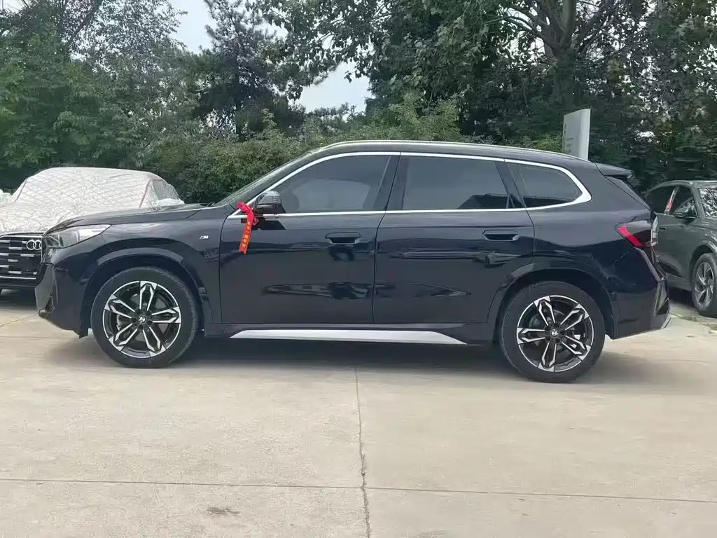 BMW X1 — миниатюра 2