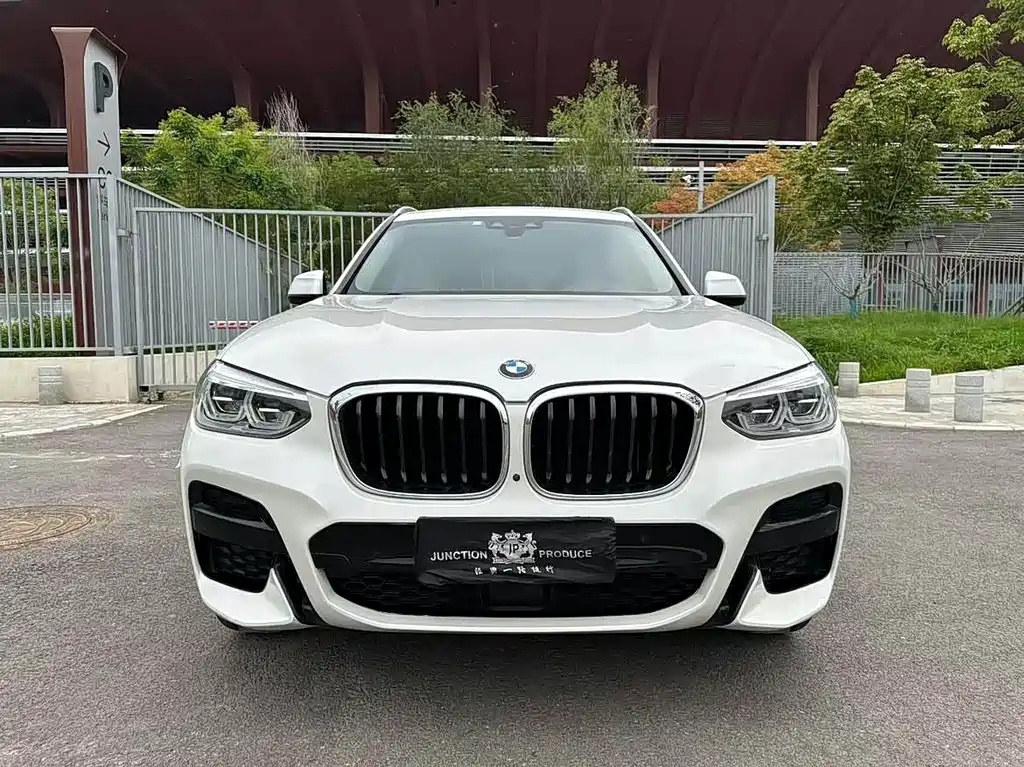 BMW X3 — миниатюра 2