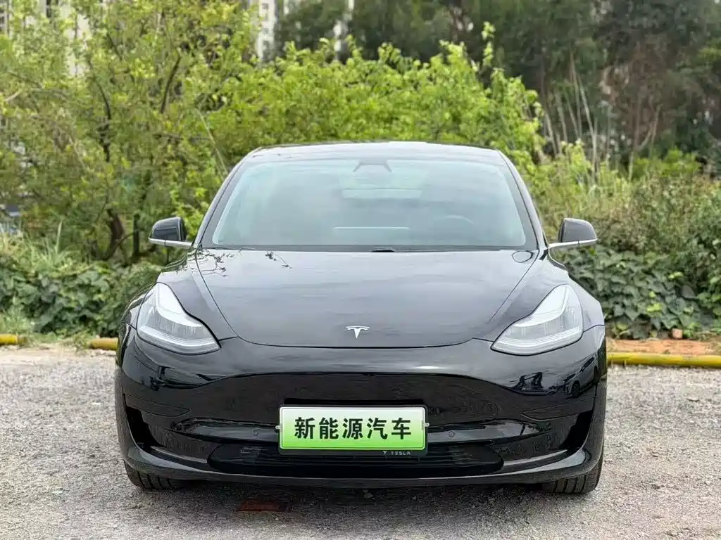 Tesla Model 3 — миниатюра 2