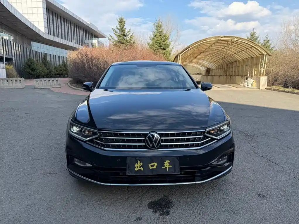 Volkswagen Magotan — миниатюра 2