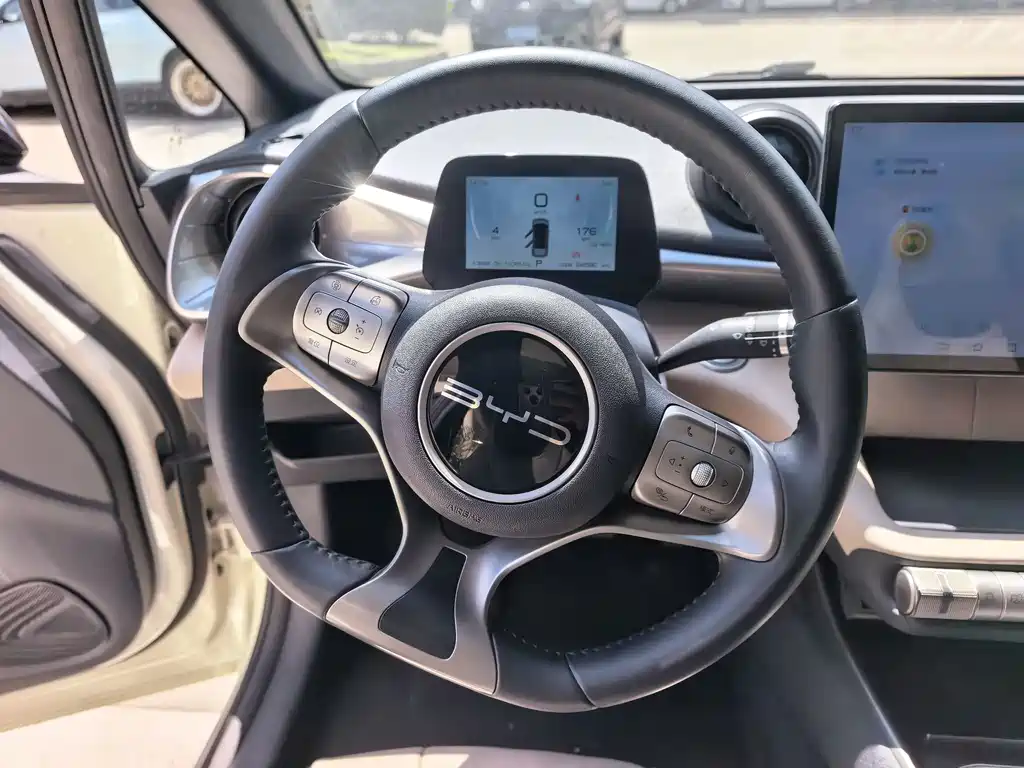 BYD Dolphin 2023 420km Fashion