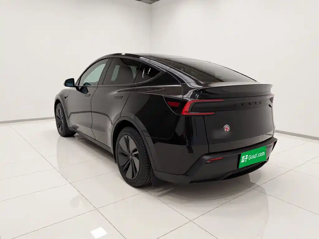 Tesla Model Y — миниатюра 4