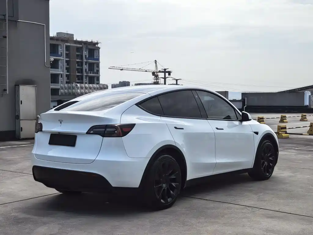 Tesla Model Y — миниатюра 4