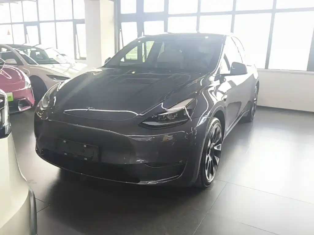 Tesla Model Y — миниатюра 2