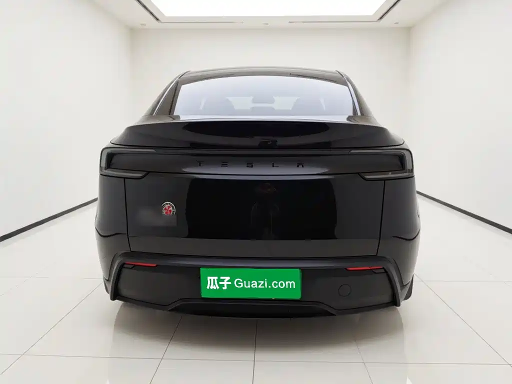 Tesla Model Y — миниатюра 5