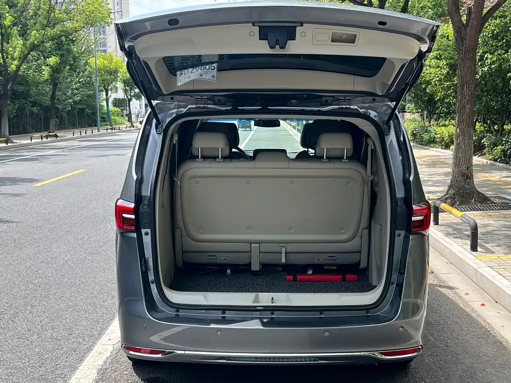 Buick GL8 — миниатюра 15
