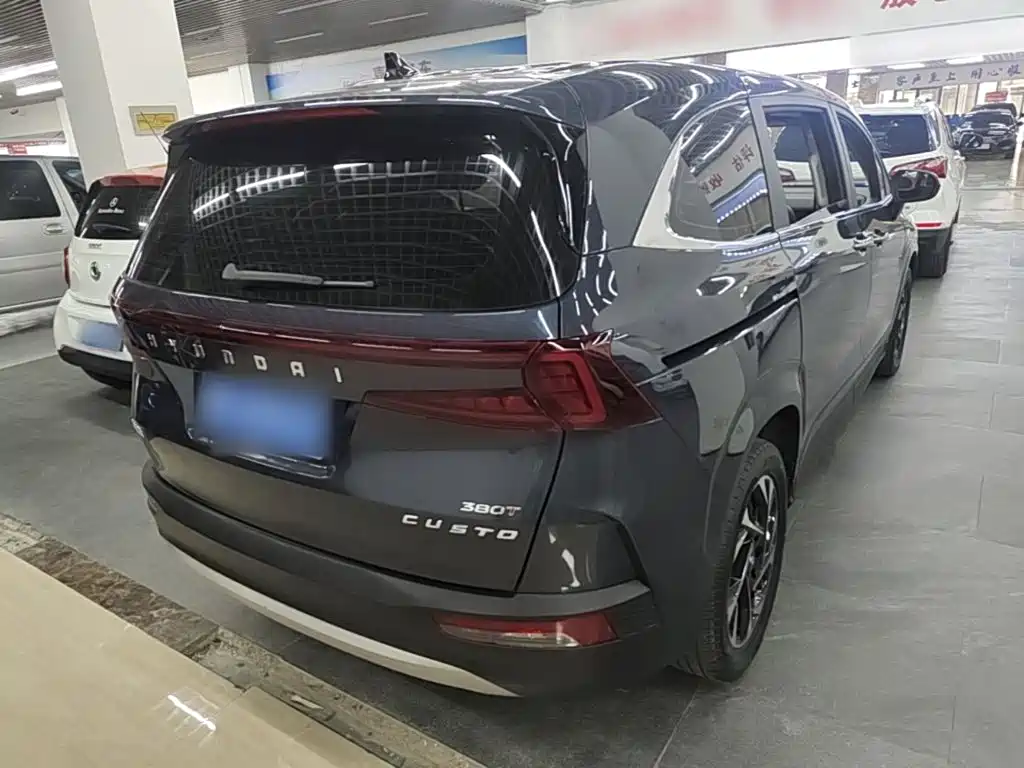 Hyundai Custo — миниатюра 7