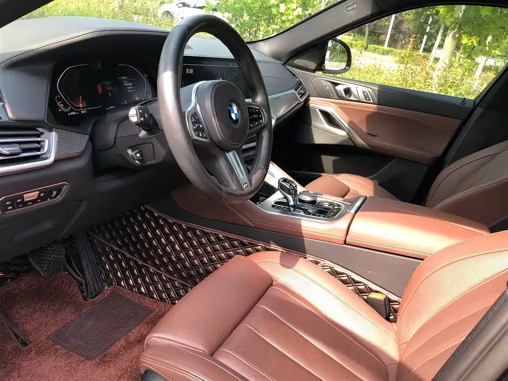 BMW X6 — миниатюра 9