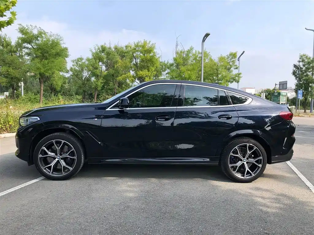 BMW X6 — миниатюра 4