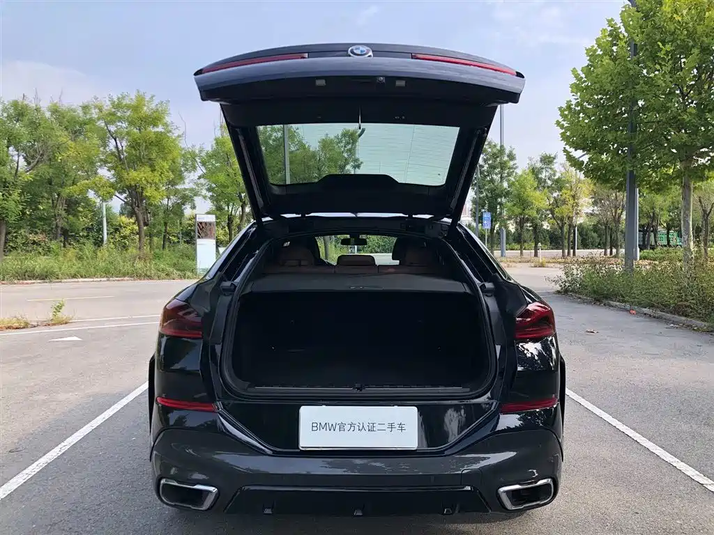 BMW X6 — миниатюра 15