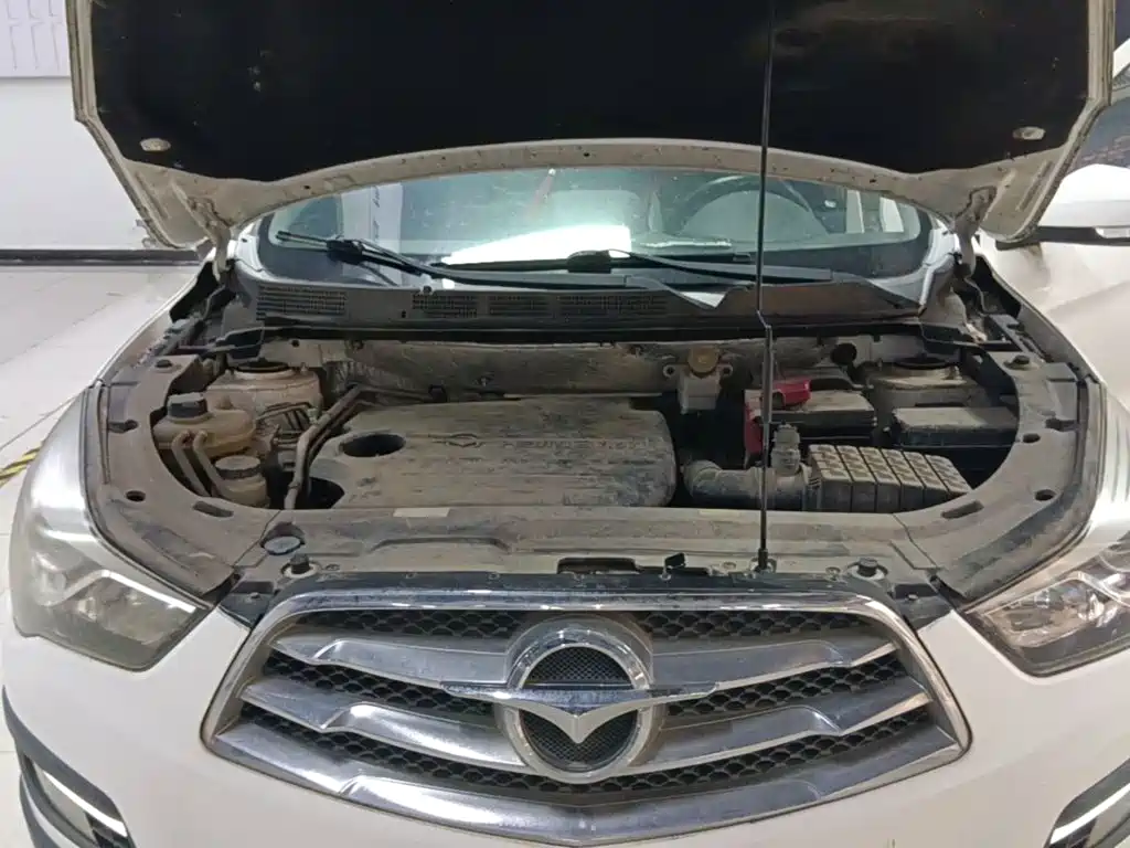 Haima Haima S5 — миниатюра 20