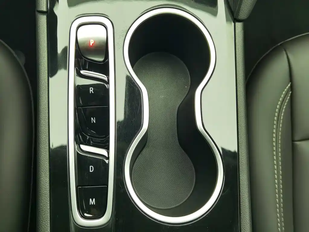 Buick Regal — миниатюра 13