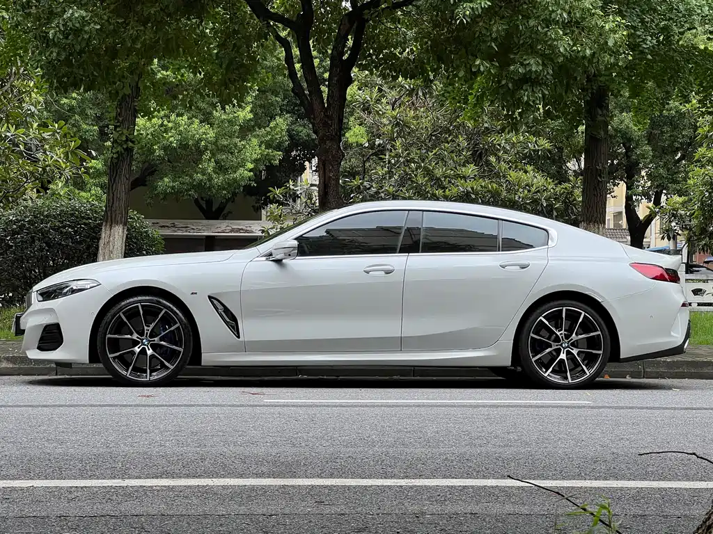 BMW 8 Series — миниатюра 7