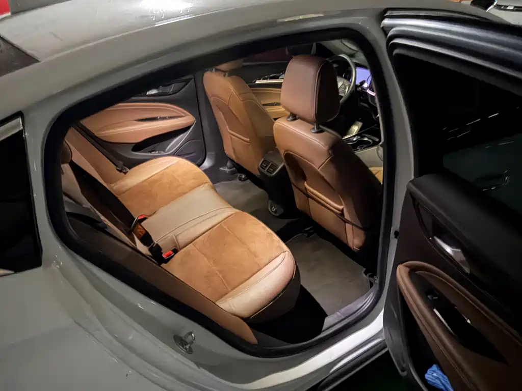 Buick Regal — миниатюра 9