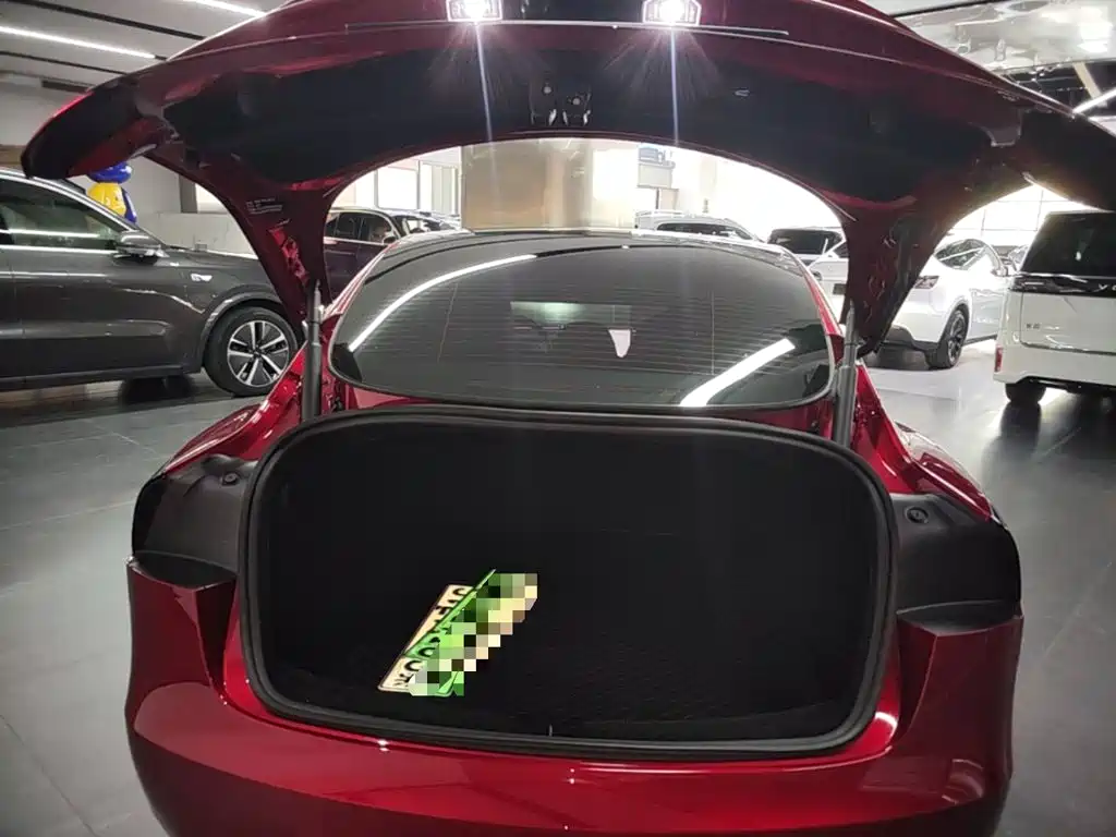 Tesla Model 3 — миниатюра 19