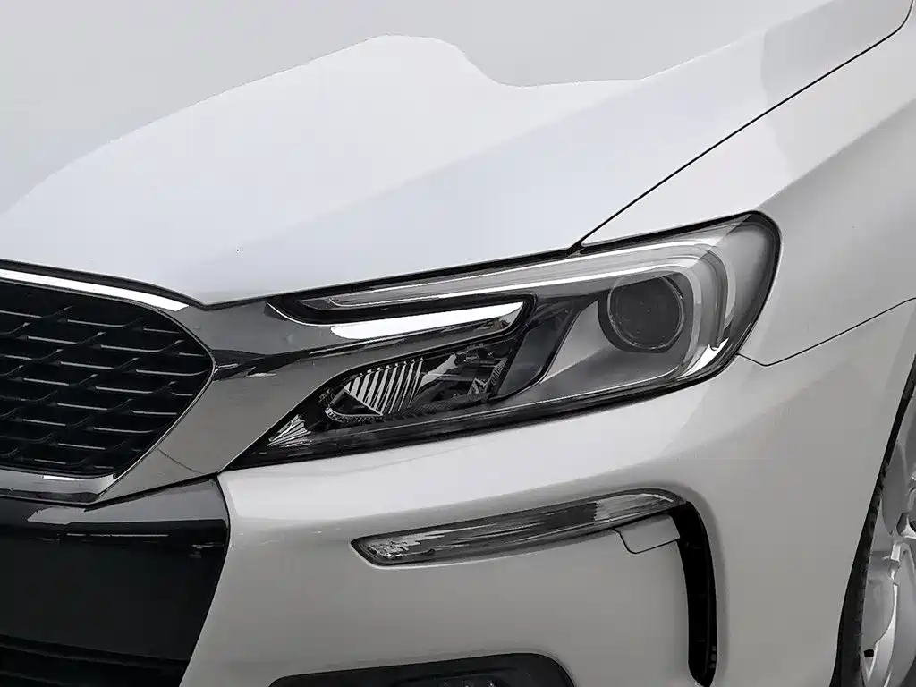 DS DS 4S — миниатюра 7