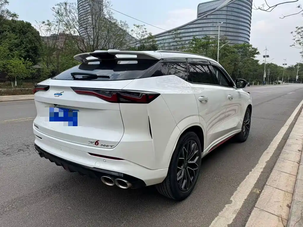 Oshan Oushang Z6 — миниатюра 10