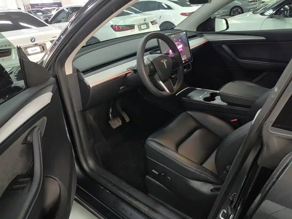 Tesla Model Y — миниатюра 16