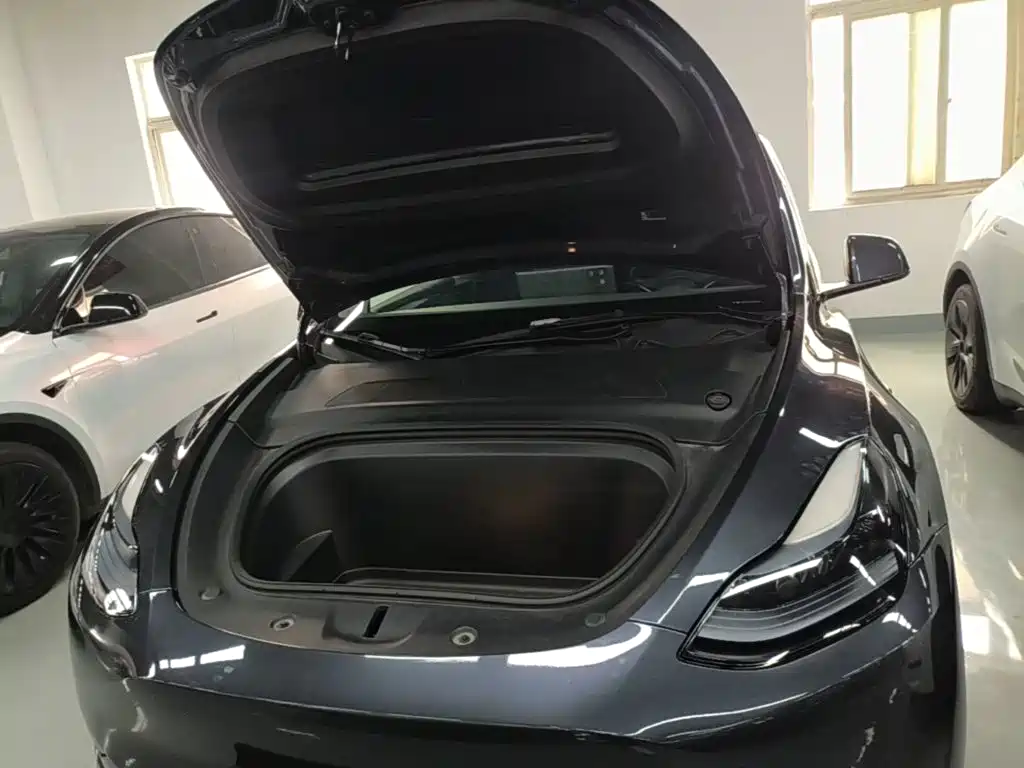 Tesla Model Y — миниатюра 20