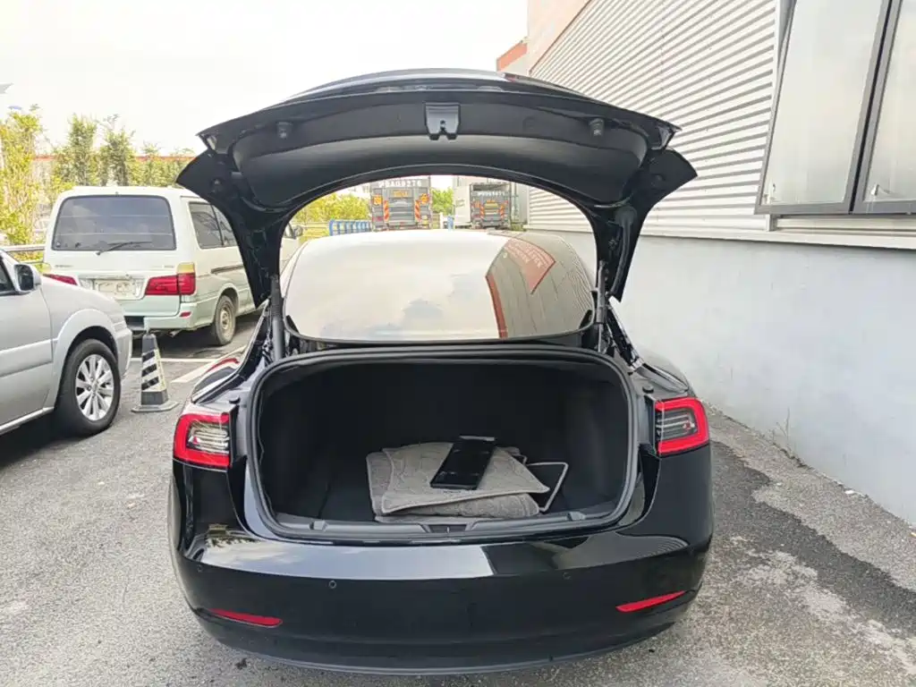 Tesla Model 3 — миниатюра 19
