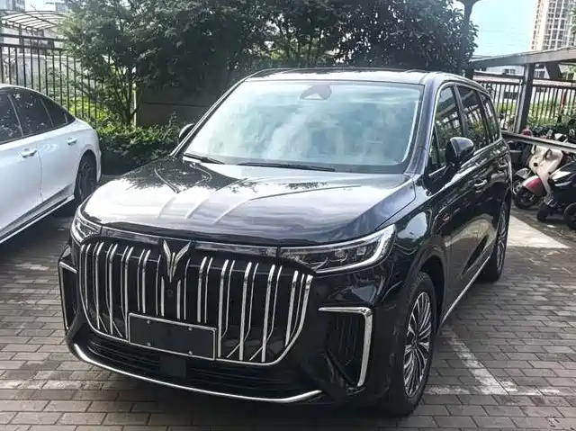 2024 Voyah Dream