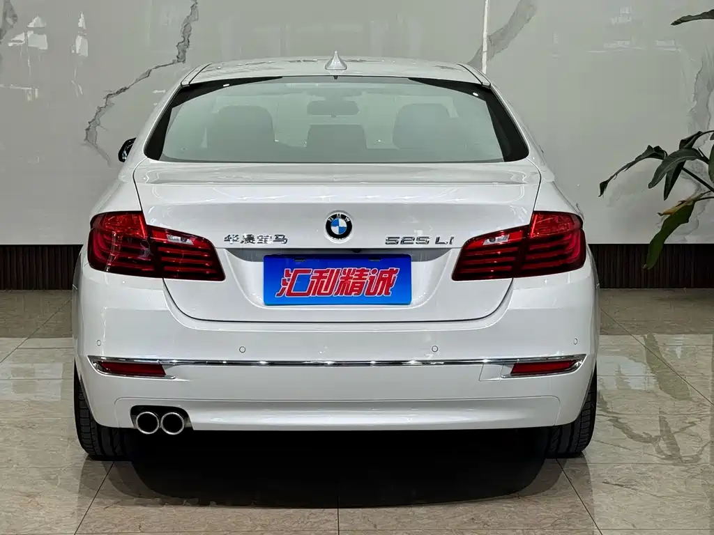 BMW 5 Series — миниатюра 5