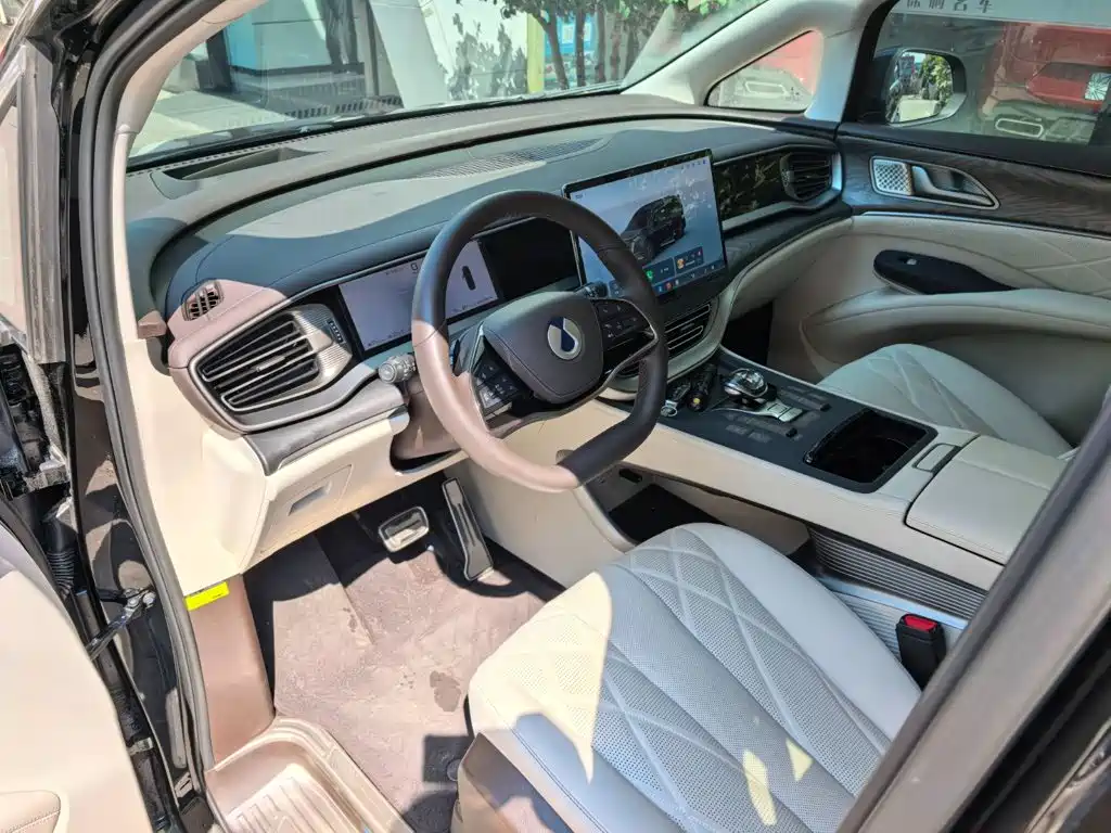 Denza Denza D9 — миниатюра 5