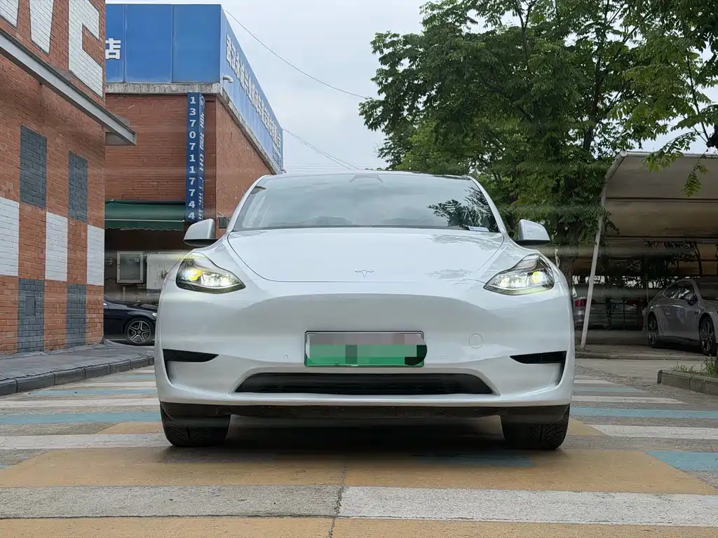 Tesla Model Y — миниатюра 2