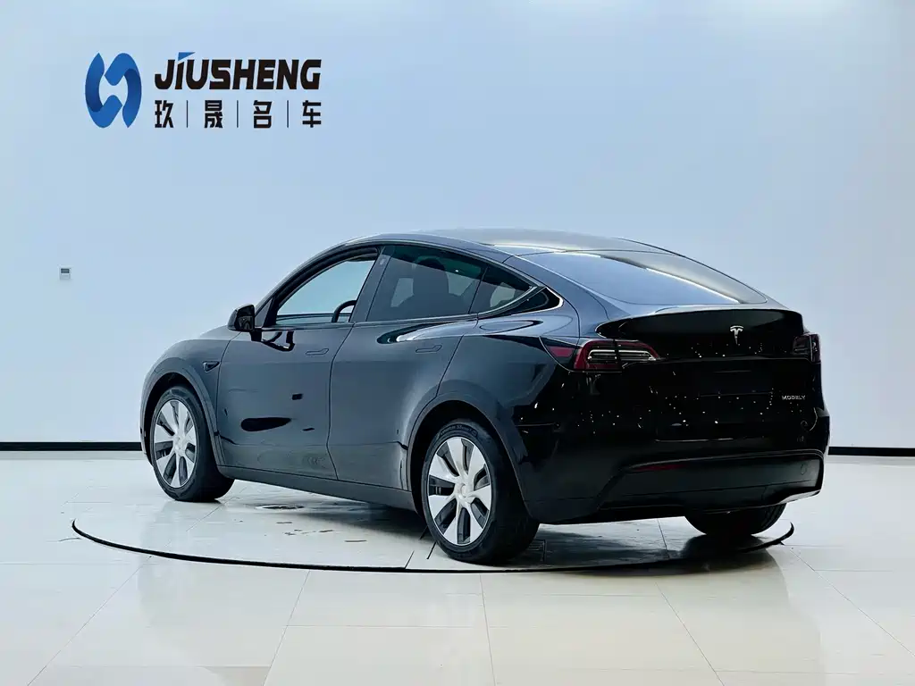 Tesla Model Y — миниатюра 4