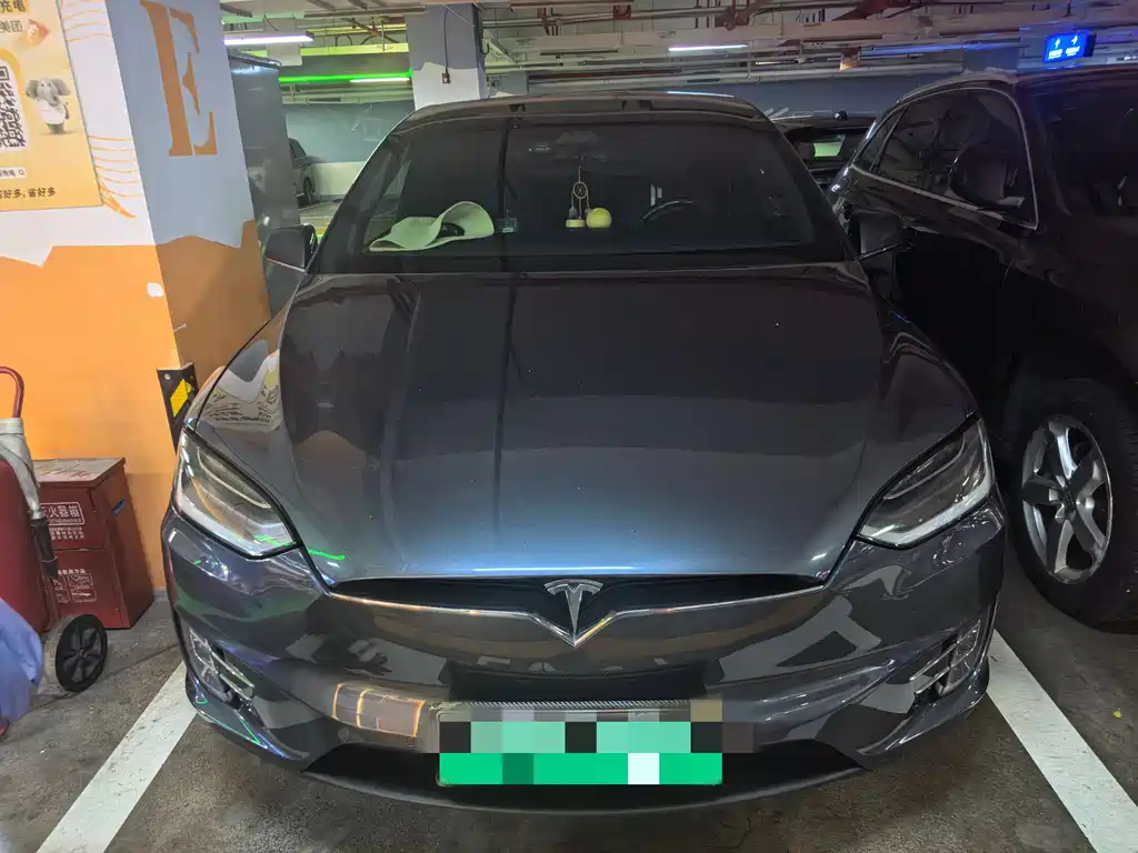 Tesla Model X 2017 Model X 100D