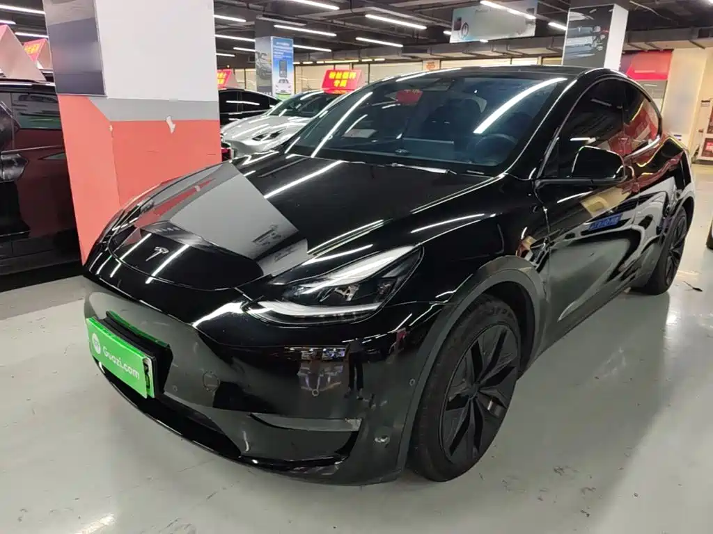 Tesla Model Y — миниатюра 2
