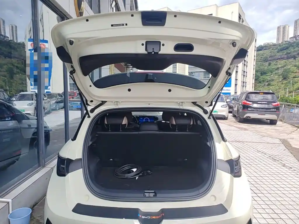 BYD Dolphin — миниатюра 19