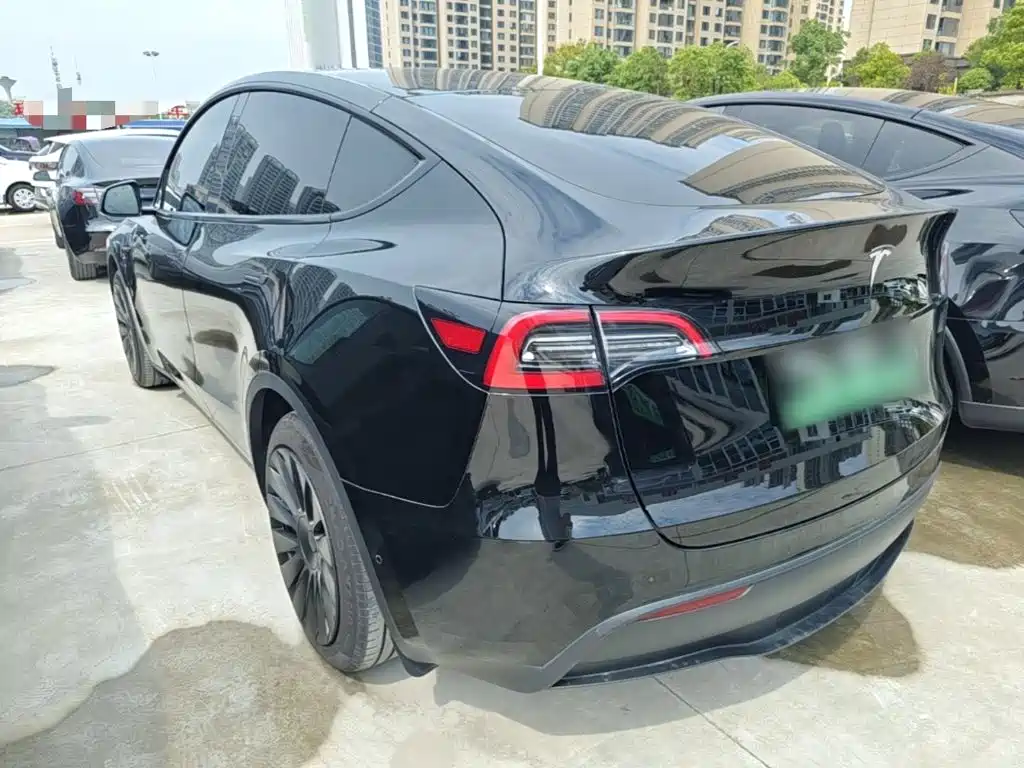 Tesla Model Y — миниатюра 5