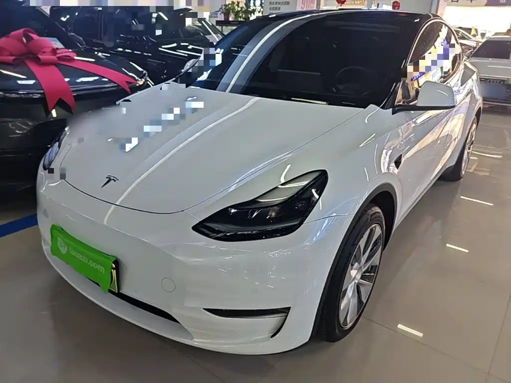 Tesla Model Y — миниатюра 2