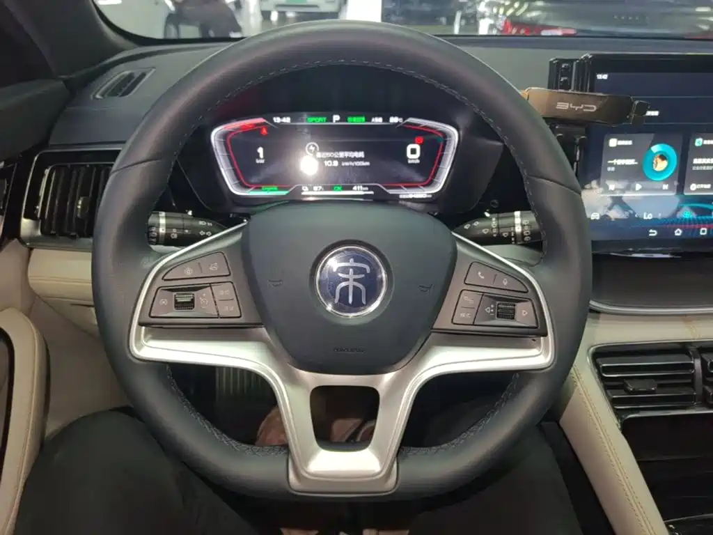 BYD PLUS New Energy — миниатюра 11