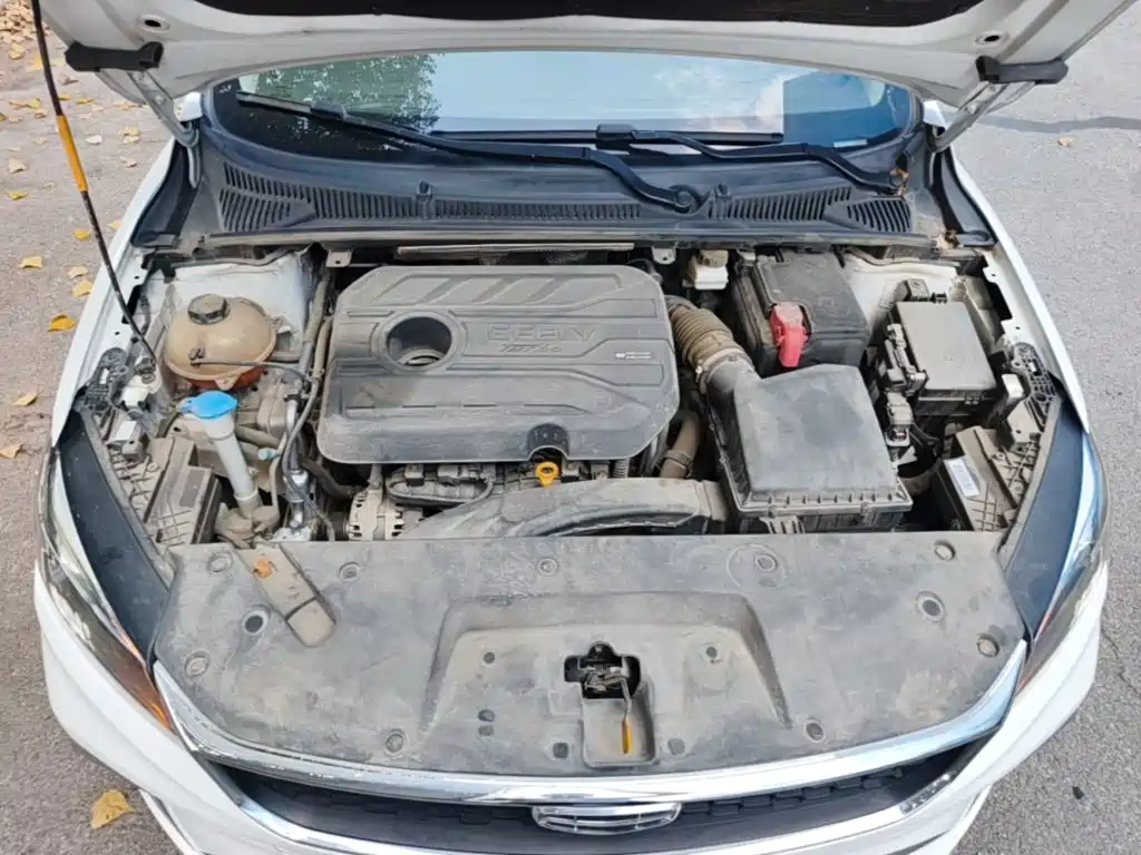 Geely Binrui — миниатюра 20