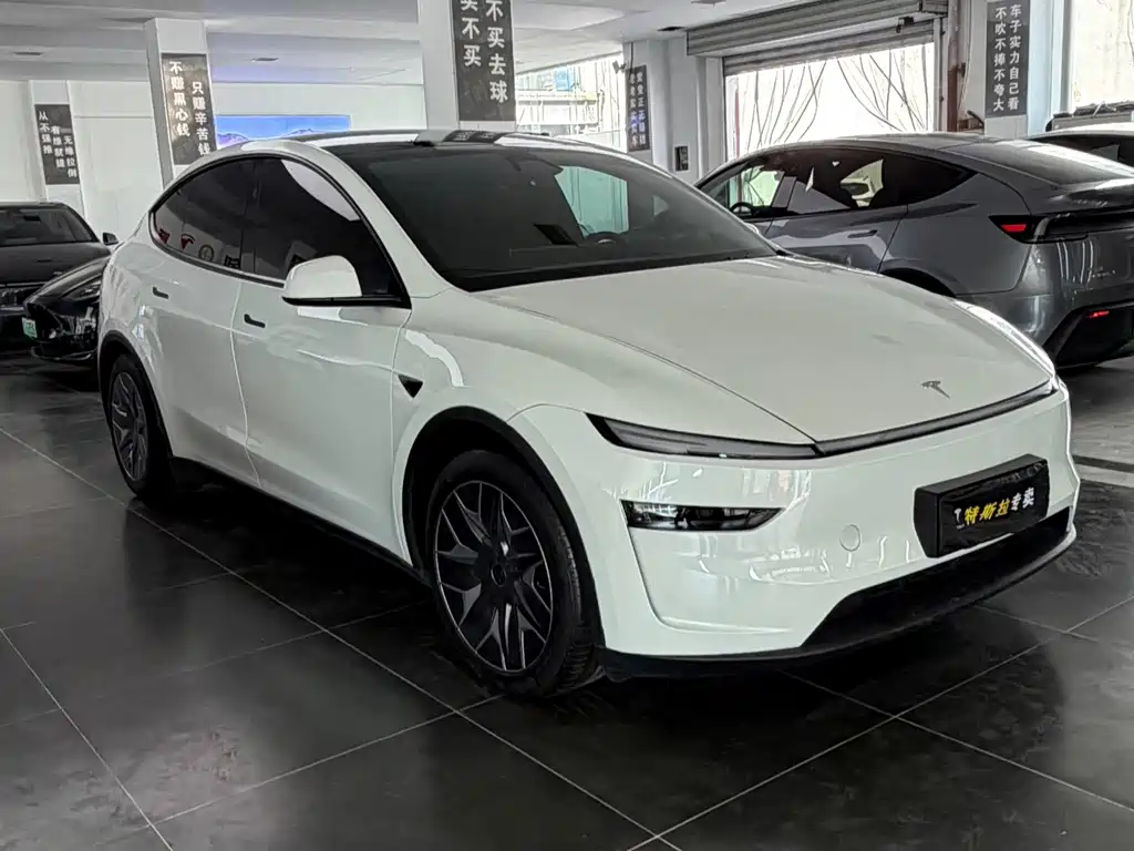 Tesla Model Y L — миниатюра 3