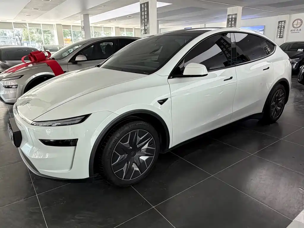 Tesla Model Y L — миниатюра 4