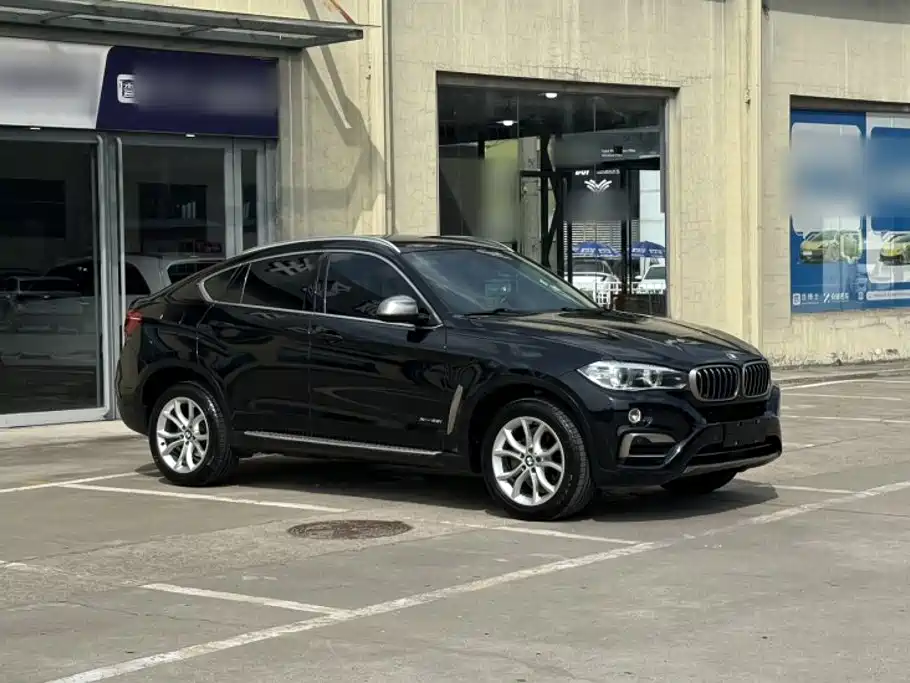 BMW X6 — миниатюра 8