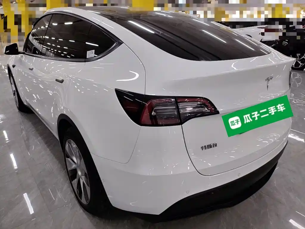 Tesla Model Y — миниатюра 5