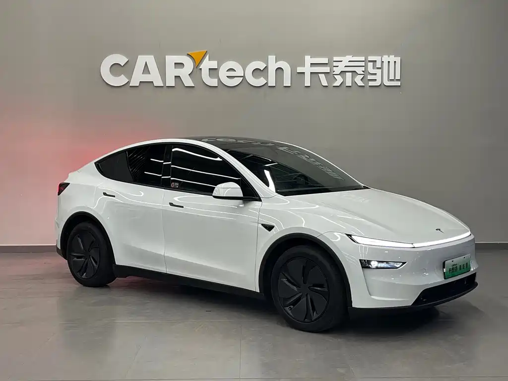 Tesla Model Y — миниатюра 3