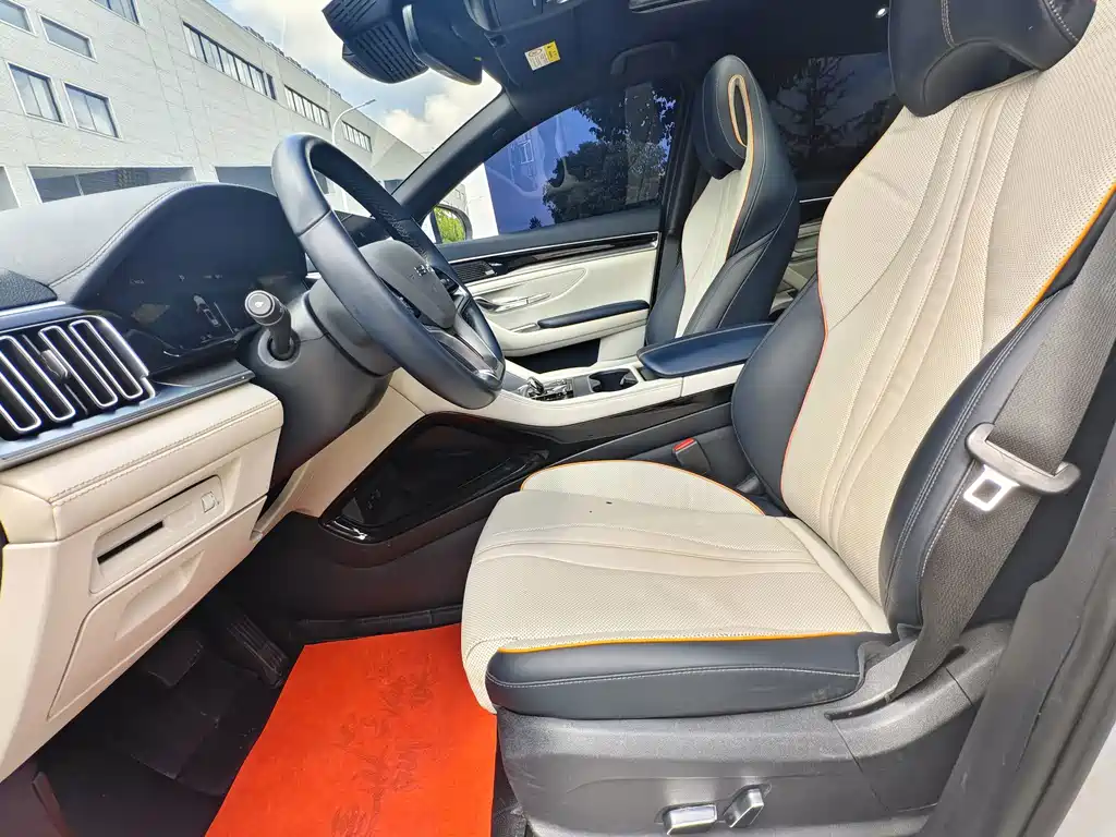 BYD PLUS New Energy — миниатюра 11