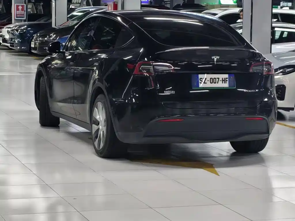 Tesla Model Y — миниатюра 5