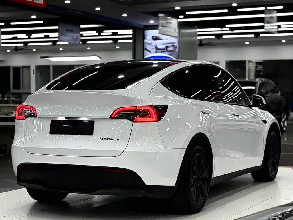 Tesla Model Y — миниатюра 6
