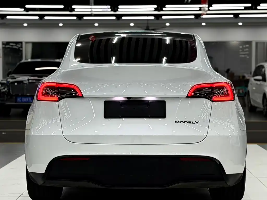 Tesla Model Y — миниатюра 5