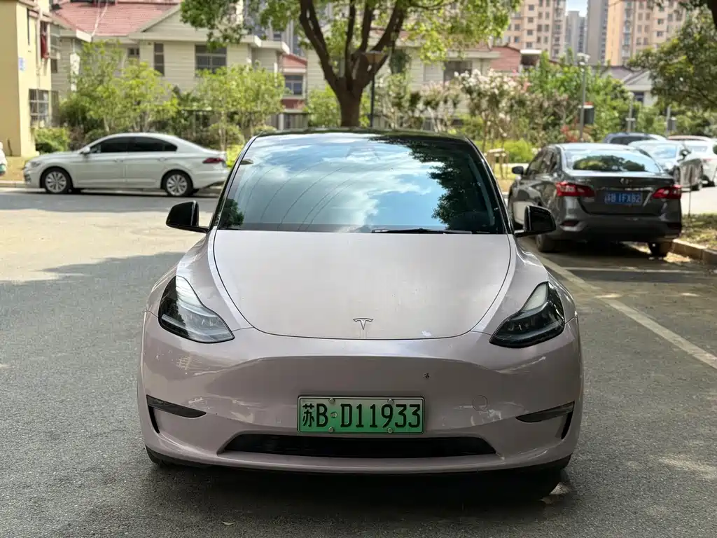 Tesla Model Y — миниатюра 2