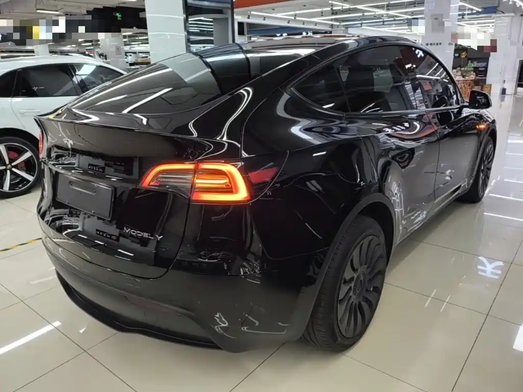 Tesla Model Y — миниатюра 7