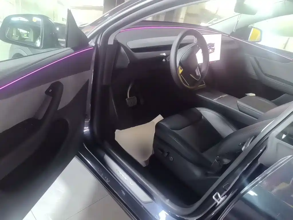 Tesla Model Y — миниатюра 15