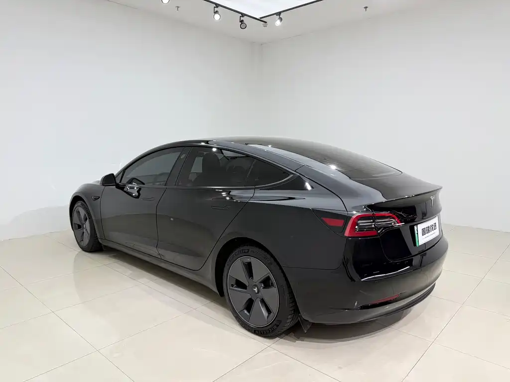 Tesla Model 3 — миниатюра 4