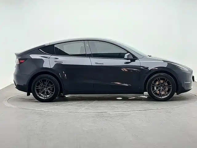Tesla Model Y — миниатюра 3